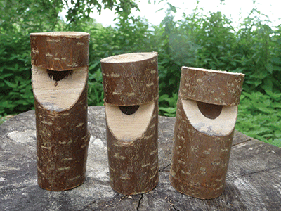 Woodland Whistles